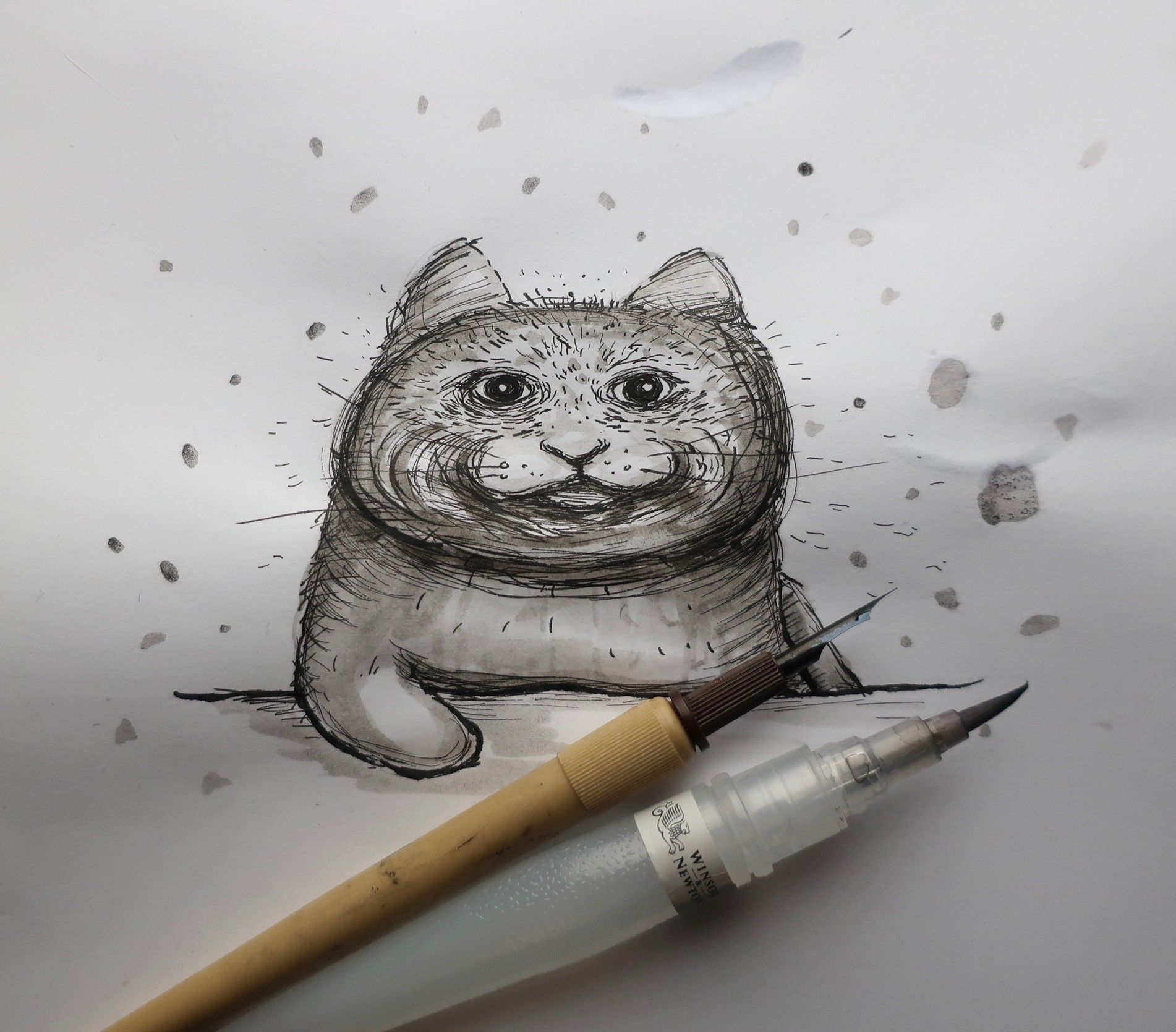 kissan kuva nestetussilla piirretty